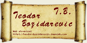Teodor Božidarević vizit kartica